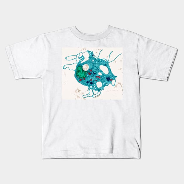 Fibroblast, TEM (C026/0495) Kids T-Shirt by SciencePhoto